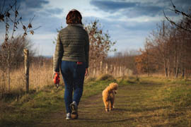 Pet sitter promenant un chien à Béziers